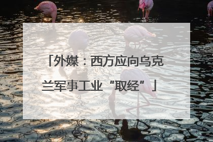 外媒：西方应向乌克兰军事工业“取经”