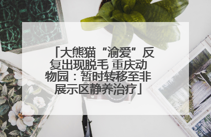 大熊猫“渝爱”反复出现脱毛 重庆动物园：暂时转移至非展示区静养治疗