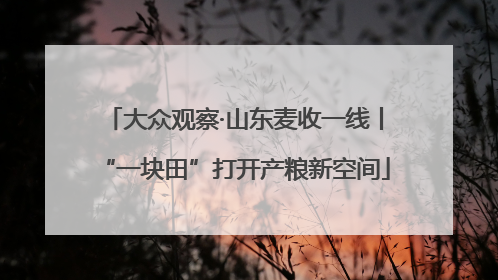 大众观察·山东麦收一线丨“一块田”打开产粮新空间