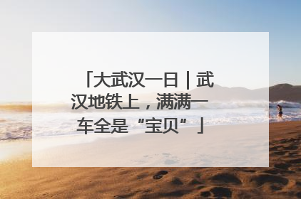 大武汉一日｜武汉地铁上，满满一车全是“宝贝”