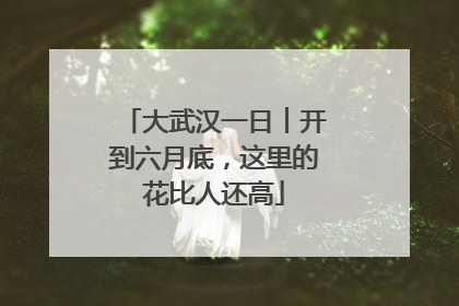大武汉一日︱开到六月底，这里的花比人还高