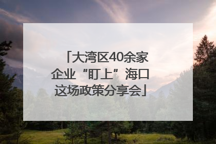 大湾区40余家企业“盯上”海口这场政策分享会