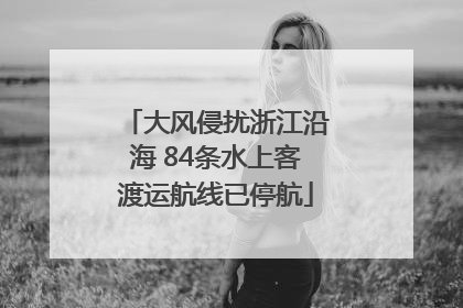 大风侵扰浙江沿海 84条水上客渡运航线已停航