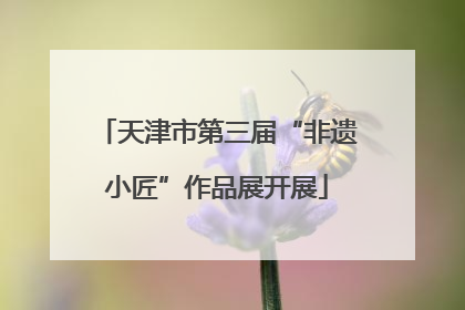 天津市第三届“非遗小匠”作品展开展