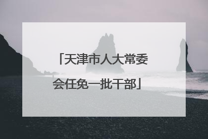 天津市人大常委会任免一批干部