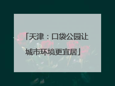 天津：口袋公园让城市环境更宜居