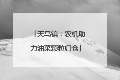 天马镇：农机助力油菜颗粒归仓