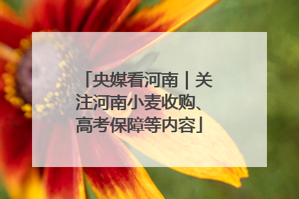 央媒看河南｜关注河南小麦收购、高考保障等内容