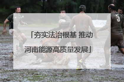 夯实法治根基 推动河南能源高质量发展