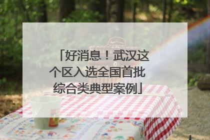好消息！武汉这个区入选全国首批综合类典型案例