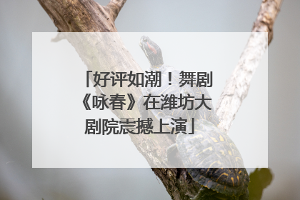 好评如潮！舞剧《咏春》在潍坊大剧院震撼上演