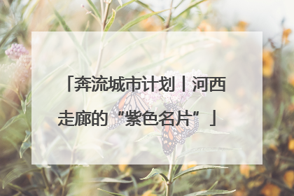 奔流城市计划丨河西走廊的“紫色名片”