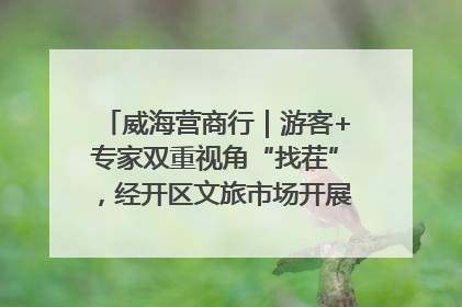 威海营商行｜游客+专家双重视角“找茬”，经开区文旅市场开展暑期前“体检”