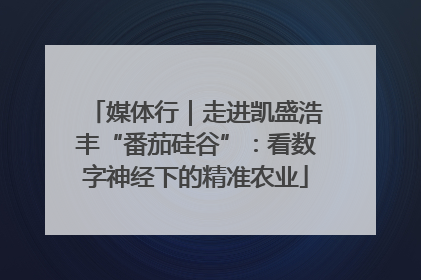 媒体行｜走进凯盛浩丰“番茄硅谷”：看数字神经下的精准农业