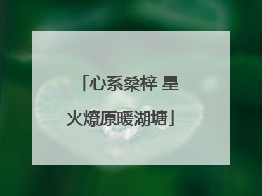 心系桑梓 星火燎原暖湖塘