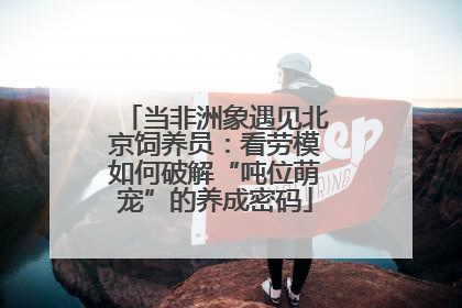 当非洲象遇见北京饲养员：看劳模如何破解“吨位萌宠”的养成密码