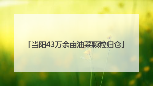 当阳43万余亩油菜颗粒归仓