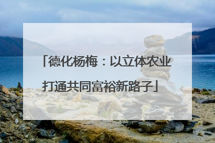 德化杨梅：以立体农业打通共同富裕新路子