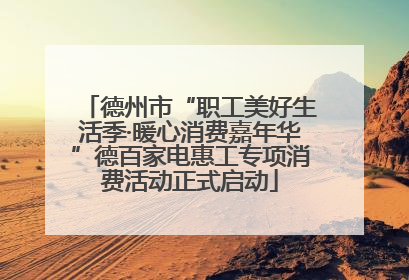 德州市“职工美好生活季·暖心消费嘉年华”德百家电惠工专项消费活动正式启动