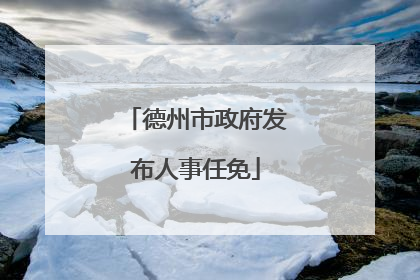 德州市政府发布人事任免