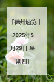 德州速览丨2025年5月29日 星期四