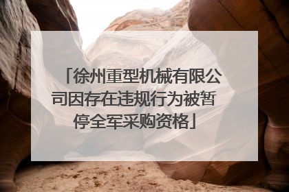 徐州重型机械有限公司因存在违规行为被暂停全军采购资格