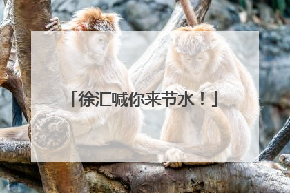 徐汇喊你来节水！