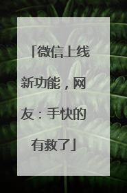 微信上线新功能，网友：手快的有救了