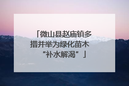 微山县赵庙镇多措并举为绿化苗木“补水解渴”