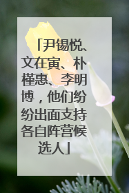 尹锡悦、文在寅、朴槿惠、李明博，他们纷纷出面支持各自阵营候选人