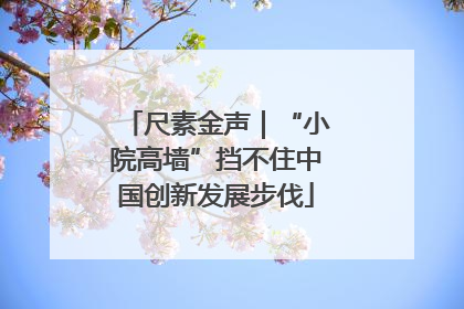 尺素金声｜“小院高墙”挡不住中国创新发展步伐