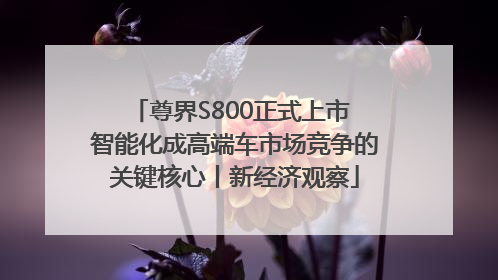 尊界S800正式上市 智能化成高端车市场竞争的关键核心丨新经济观察