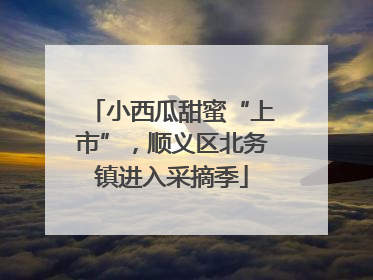 小西瓜甜蜜“上市”，顺义区北务镇进入采摘季