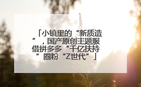 小镇里的“新质造”，国产原创主题服借拼多多“千亿扶持”圈粉“Z世代”