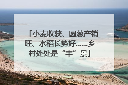 小麦收获、圆葱产销旺、水稻长势好……乡村处处是“丰”景