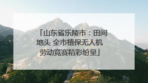 山东省乐陵市：田间地头 全市植保无人机劳动竞赛精彩纷呈