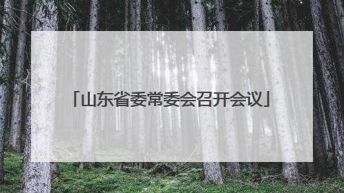 山东省委常委会召开会议