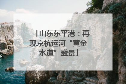 山东东平港：再现京杭运河“黄金水道”盛景