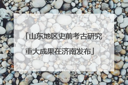 山东地区史前考古研究重大成果在济南发布