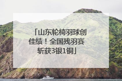 山东轮椅羽球创佳绩！全国残羽赛斩获3银1铜