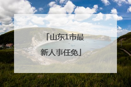 山东1市最新人事任免