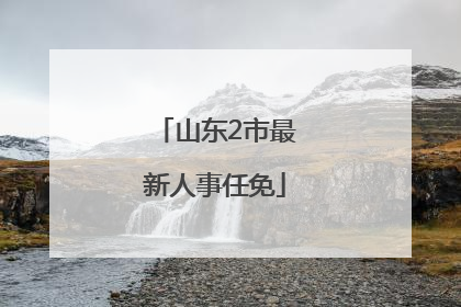 山东2市最新人事任免