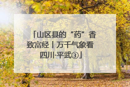 山区县的“药”香致富经丨万千气象看四川·平武③