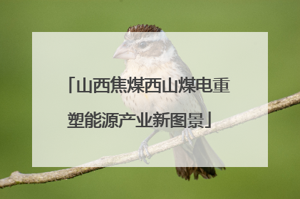 山西焦煤西山煤电重塑能源产业新图景
