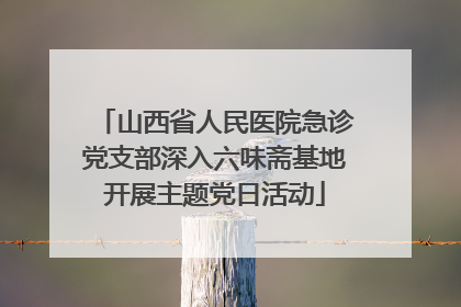 山西省人民医院急诊党支部深入六味斋基地开展主题党日活动