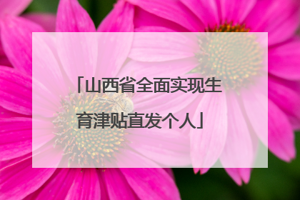 山西省全面实现生育津贴直发个人