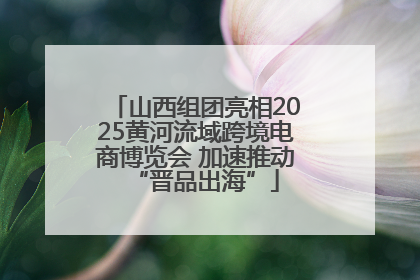 山西组团亮相2025黄河流域跨境电商博览会 加速推动“晋品出海”