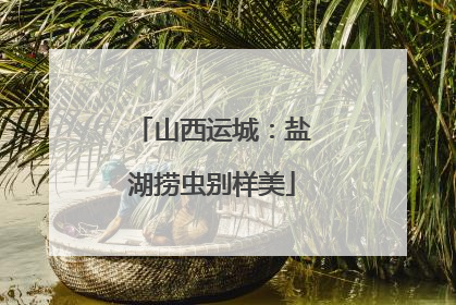 山西运城：盐湖捞虫别样美
