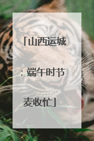 山西运城：端午时节麦收忙