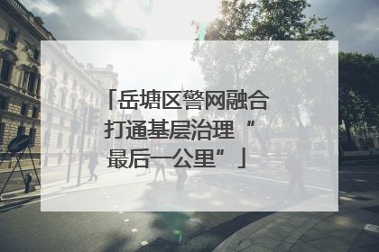 岳塘区警网融合 打通基层治理“最后一公里”